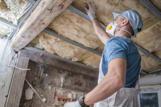 Best Insulation Installation Services in Island Heights, NJ